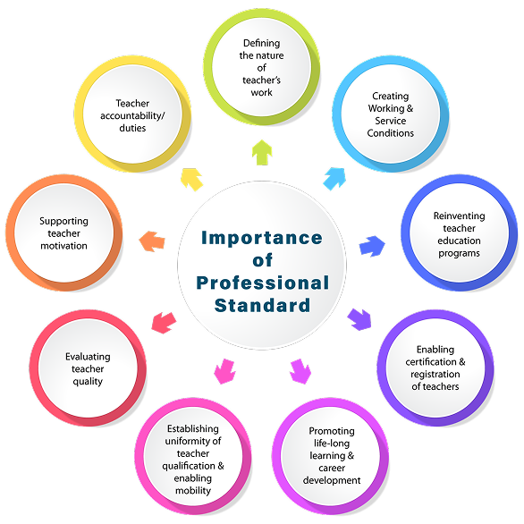 Circular diagram showing 9 areas of Importance of Professional Standard